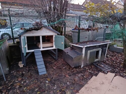 Image #1 de Damien B.