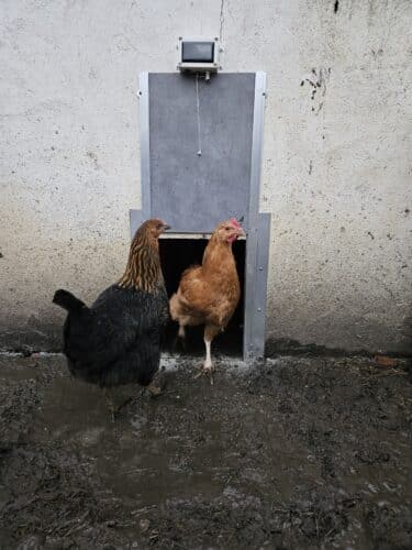 Image #1 de Hervé VIOLLEAU