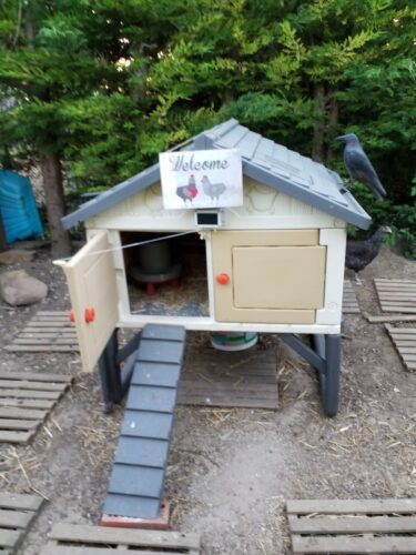 Image #1 de Stéphane picard