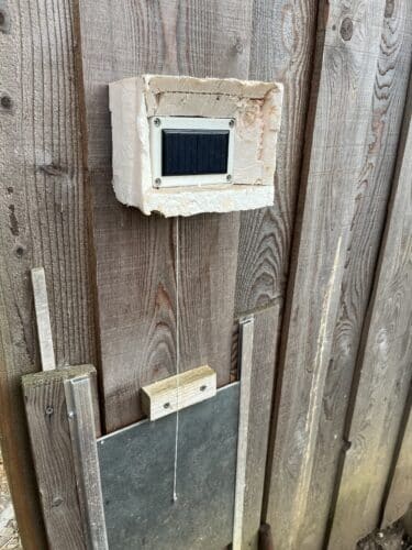 Image #2 de Christian ARBEL