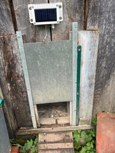 Image #1 de Dominique