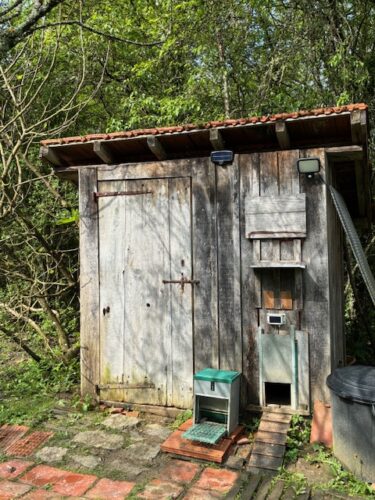 Image #2 de Dominique