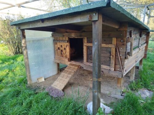 Image #1 de Jean-Pierre