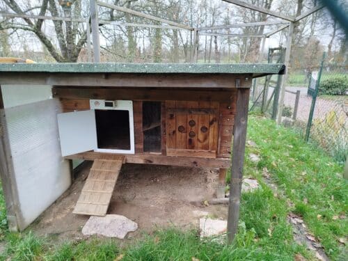 Image #2 de Jean-Pierre