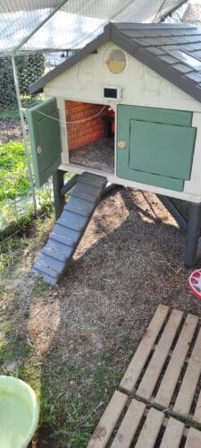 Image #1 de serge CECI