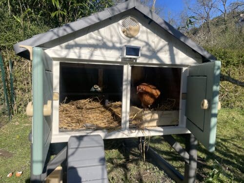 Image #2 de Daphne A.