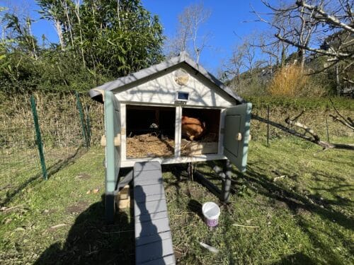 Image #1 de Daphne A.