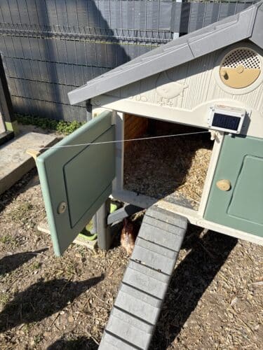 Image #1 de Laetitia Ponsignon